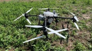 Обработка полей средствами защиты растений при помощи агродронов
