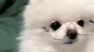 Играем в спрунки (в конце очень страшно)