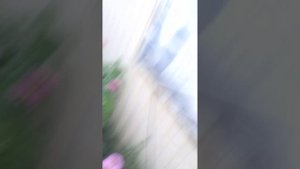 пол - это Лава