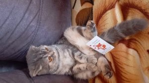 Распаковка Стича🥰