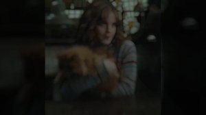 Гермиона Грейнджер врезала Малфою Драко