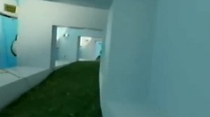 Backrooms 13 - Level 150 "Garden"