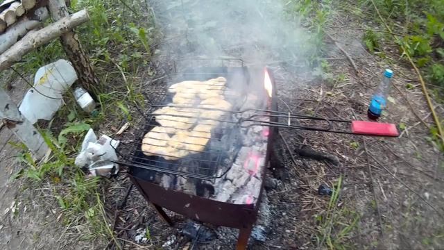 БИЧ Отшельник пытается выжить в лесном куполе без смс и регистрации смотреть онлайн