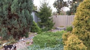 08-08-2025 В ОГОРОД Я БОЛЬШЕ НИ НОГОЙ