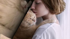 Всемирный День_кошек