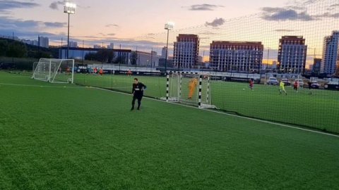 Играющий тренер