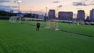 Играющий тренер