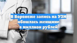 В Воронеже запись на УЗИ обошлась женщине в миллион рублей