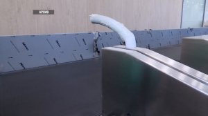 Имя для ижевского аэропорта 07.08.2025