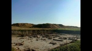 Виктория Антонова | ТОЧКА.РФ – МЕСТО | поселок Сенной