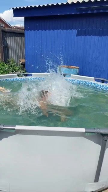 ахахкхах смотреть онлайн