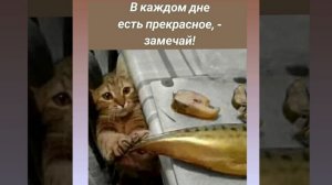 ХОРОШО, КОГДА РЯДОМ КТО-ТО МУРЧИТ!