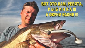 РЫБИНКА. ЕХАЛИ ЗА ТЕЛЬНЯШКАМИ А ОПЯТЬ СУДАКИ