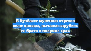 В Кузбассе мужчина отрезал жене пальцы, пытался зарубить ее брата и получил срок