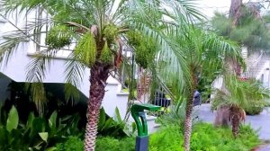 Отель Мавенпик Текирова Турция 5*,обзор номера в бунгало,детские развлечения,территория