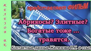 Абрикосы? Элитные? Богатые тоже … травятся.