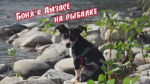 Рыбачка Боня