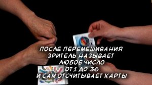 Найти пару-2.0. #фокусник Владислав, #фокусы с картами, #фокусы, #развлечение
