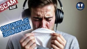 Сопливые звонилки.Телефонные аферисты