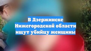 В Дзержинске Нижегородской области ищут убийцу женщины