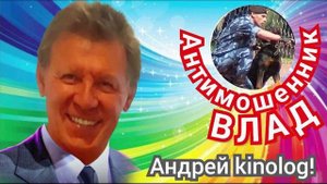 Содействие от ВЛАДА