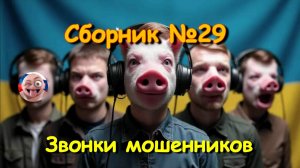 Сборник №29