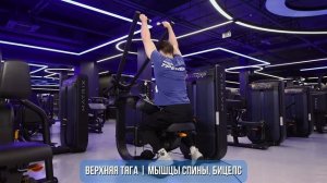 ВЕРХНЯЯ ТАГА І МЫШЦЫ СПИНЫ, БИЦЕПС