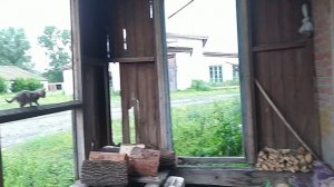 Чёпик и Кнопка взрослеют)))