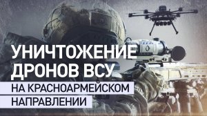 Дистанционная борьба: как снайперы нейтрализуют ударные беспилотники ВСУ