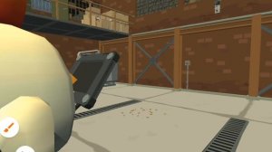 Chicken experiments 1