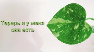 336. Цветы: Теперь и у меня она есть.