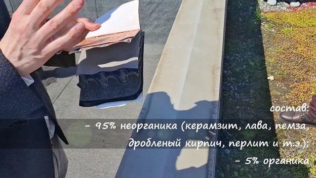 2025_Экскурсия на ЗЕЛЕНУЮ кровлю Ильи Мочалова
