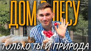 Стильное шале без ремонта в живописном месте | Купить дом в Сочи