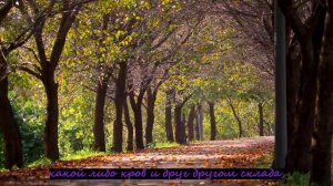 1.Я смуглость плеч запомню 2.Я буду хвалить разговоры 3.Год в лазарете 4.Моя свеча всё теплится