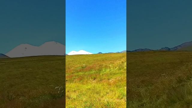 07.2025 КБ ЮЖНЫЙ СКЛОН ЭЛЬБРУСА Урочище Джилы-Су