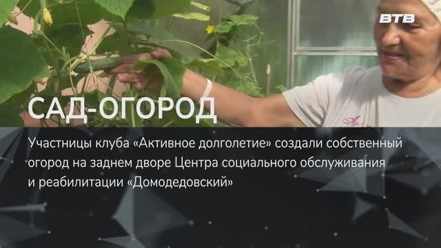 САД-ОГОРОД