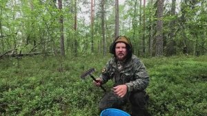 10 тысяч за  9 часов. СБОР ЯГОД НА ПРОДАЖУ. СБОР ЧЕРНИКИ В КАРЕЛИИ. ТАЁЖНЫЙ ПРОМЫСЕЛ. ЯгодыКарелии