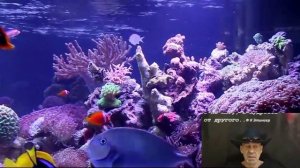 Криминальная логика политики : Повторяющаяся дилемма заключенного