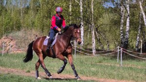 Замечательный вид спорта🐴 талантливый красавчик❤️трехдневные соревнования по троеборью#2025