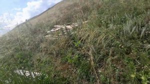 Огурец на продажу, делаю бугор для посадки клубники
