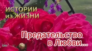 Новая история - Предательство в любви...