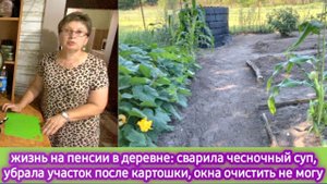 Жизнь на пенсии в деревне: сварила чесночный суп, убрала участок после картошки, окно не очищается