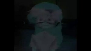 мир денди анимация . | 1 / 28 этаж|