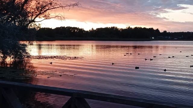 Очень красивый закат смотреть онлайн