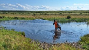Вело поход от Аркаима до...