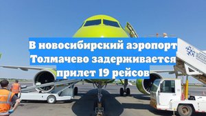 В новосибирский аэропорт Толмачево задерживается прилет 19 рейсов