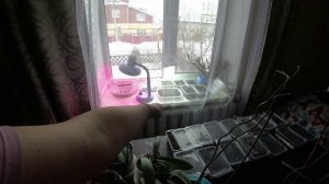 Влог от 05.03.2021