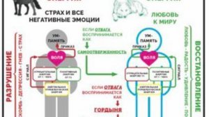 Эмоции - это колебания сознания