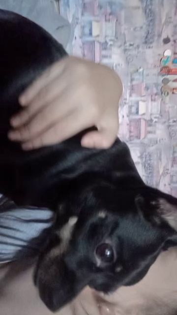 таиса раиса смотреть онлайн