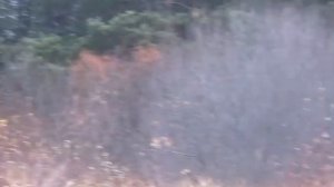 Как твои дела -  Автор музыка и поёт Дмитрий Костромской